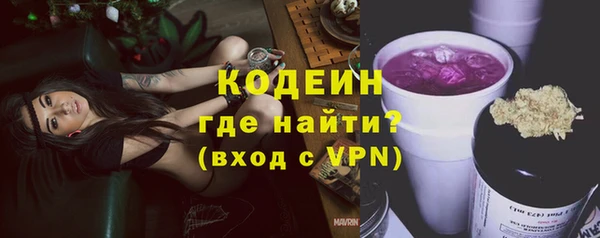 бошки Няндома