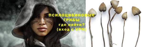молекула духа Новокубанск
