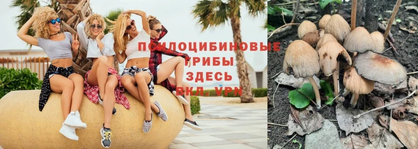 mdpv Новозыбков