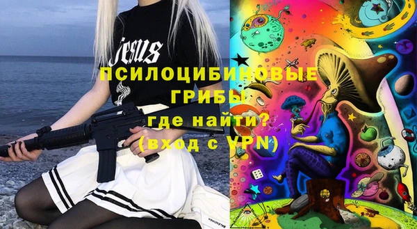 молекула духа Новокубанск