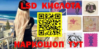 шишки Бийск
