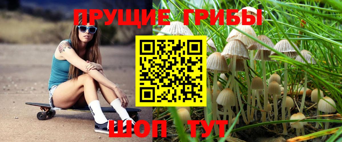 Галлюциногенные грибы Cubensis Кстово